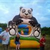 Suchy basen „Panda”